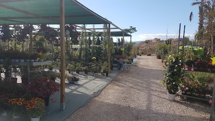 avfpaysage.fr, Jardinerie à Vallauris