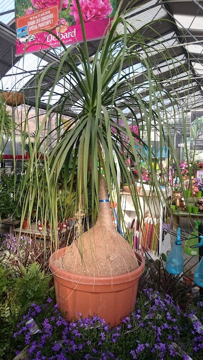 Delbard, Jardinerie au Puy-Sainte-Réparade