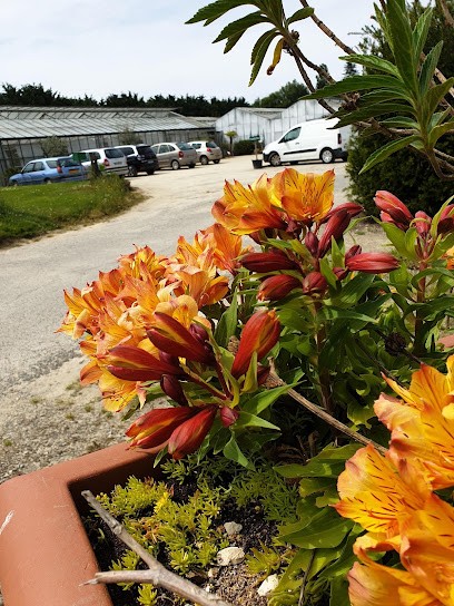 Serres De St Armel, Jardinerie à Saint-Armel