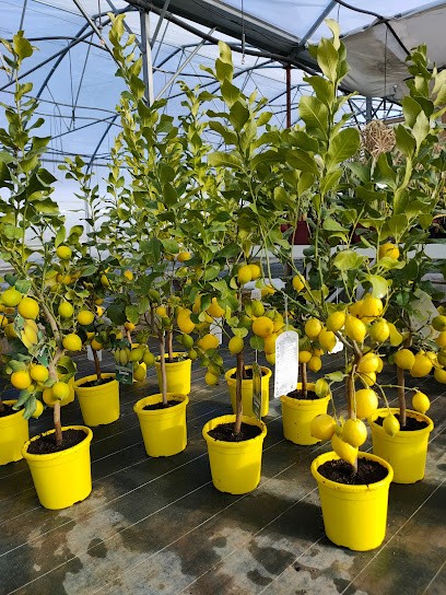 Les Jardins de Christine, Jardinerie à Valernes