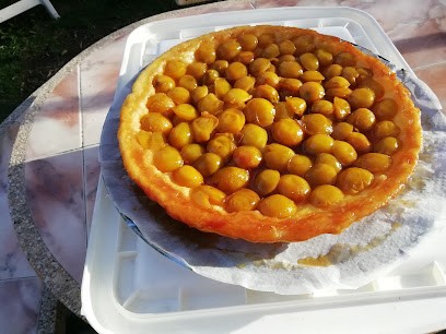 Jardinerie la Crysalide, Jardinerie à Saint-Vincent