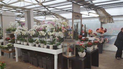 Tournet Horticulture, Jardinerie à Ussac