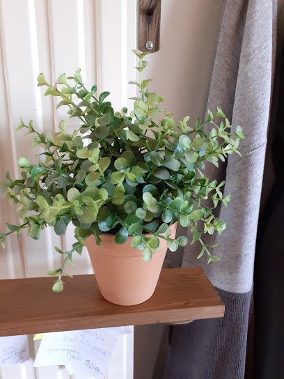 Jardi, Jardinerie à Rochefort