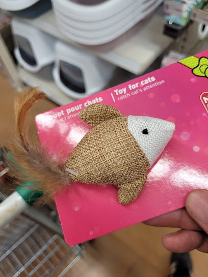 Point Vert, Jardinerie à Salies-de-Béarn