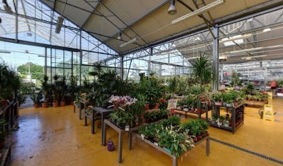 Clarac Jardinerie, Jardinerie à Pamiers