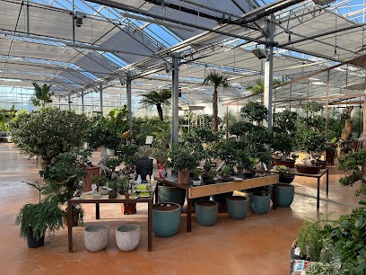 La Serre Tixier, Jardinerie à Chacé