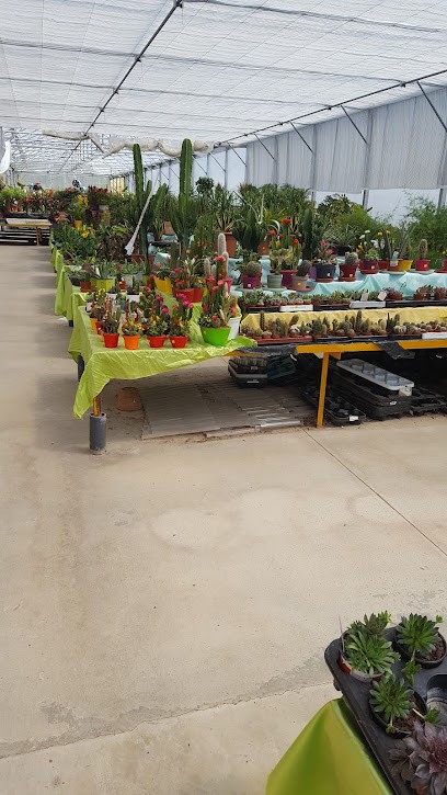 LE JARDINIER DE POUILLOUX, Jardinerie à Pouilloux