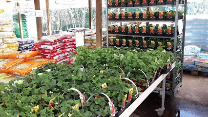 Cercle Vert, Jardinerie à Neufchâteau