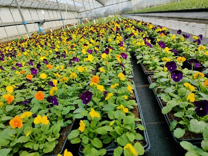 Les Serres D'Antoine, Jardinerie à Wavrin