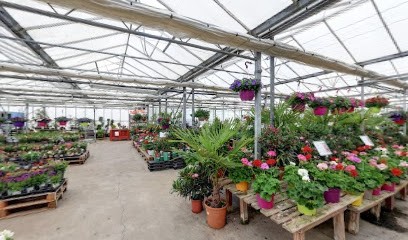 Serres De St Martin Des Bois, Jardinerie à Saint-Martin-des-Bois