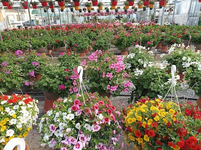 Jardin Et Serres Gerard Gousseau, Jardinerie à Montpon-Ménestérol