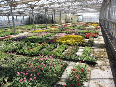 Au Jardin De Moine, Jardinerie à Sèvremoine
