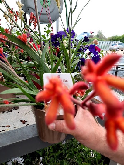 Jardiclat, Jardinerie à Lusignan