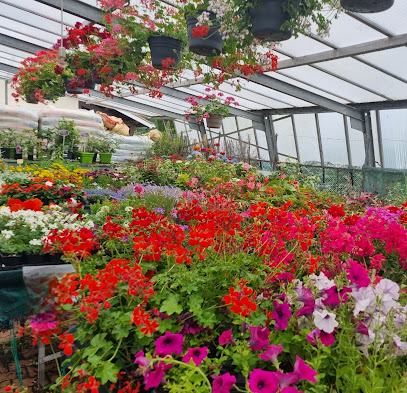 Gailleton Horticulteur Fleurs & Plantes, Jardinerie à Grézieu-la-Varenne