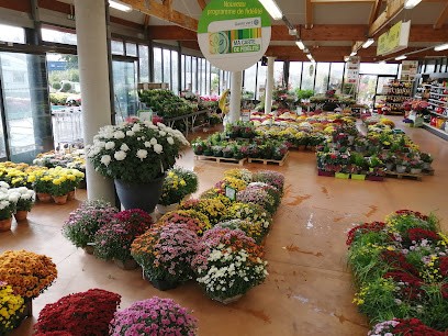 Gamm vert, Jardinerie à Saint-Yrieix-la-Perche