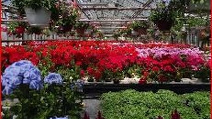 GAEC De Loume, Jardinerie à Sainte-Eulalie