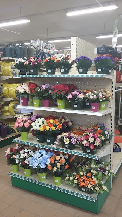 Gamm Vert, Jardinerie à Plouigneau