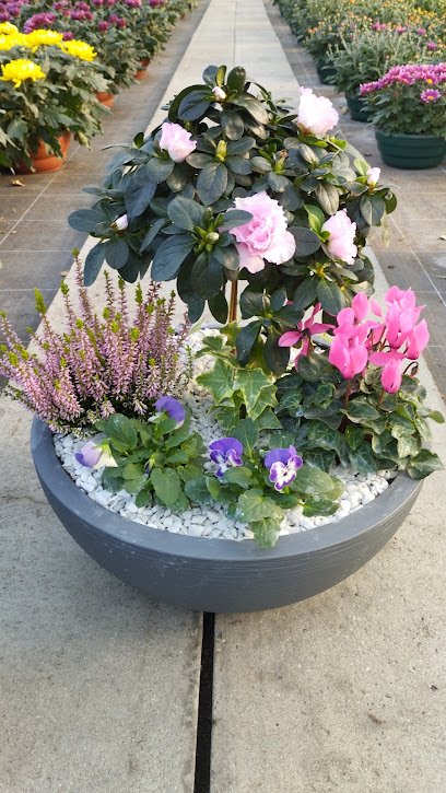 Lainé Horticulture, Jardinerie à Guimaëc