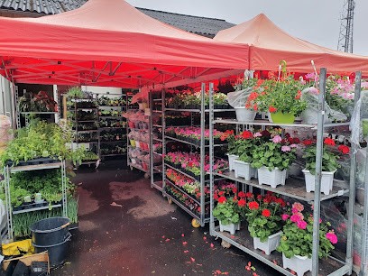 Terr'Agri, Jardinerie à Mauriac
