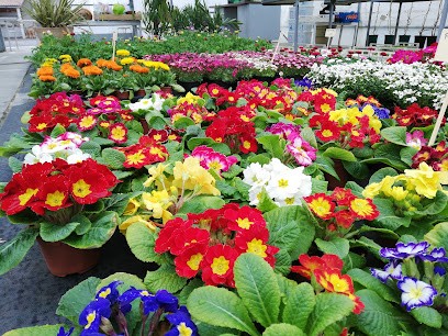 Le Jardinier, Jardinerie à Portet-sur-Garonne