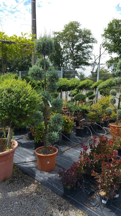 SOL&VENT, Jardinerie à Saint-Martin-du-Fouilloux