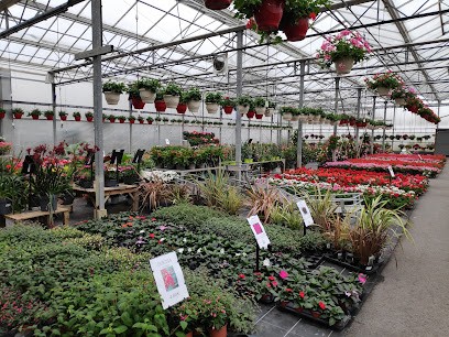 LES SERRES DES CORDELIERS (EARL HORTICOLE DES CORDELIERS), Jardinerie à Paray-le-Monial