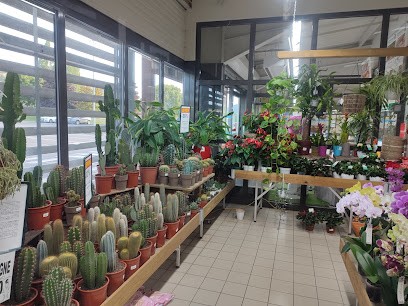 Gamm Vert, Jardinerie à Yssingeaux