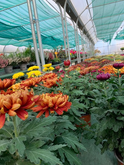 Paradis des plantes, Jardinerie à Pons