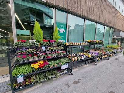 Truffaut, Jardinerie à Paris 14