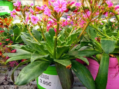 Jardinerie Paul, Jardinerie au Puy-Sainte-Réparade