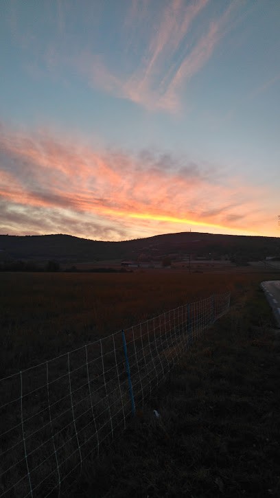 Les Serres Des Granons, Jardinerie à Reillanne