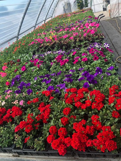 Christelle Salcedo, Jardinerie à Moissat