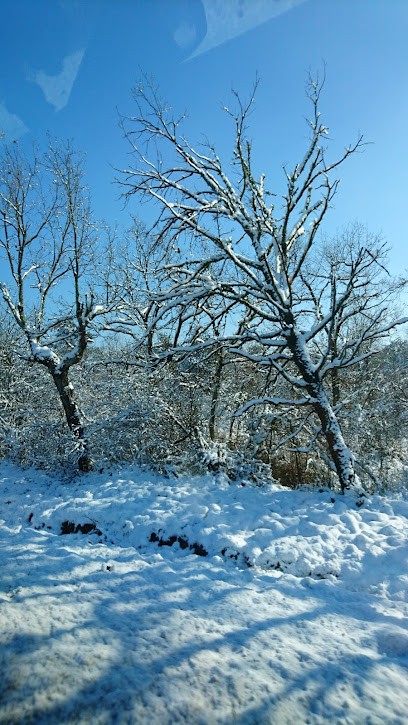 Jardins du Bocage Gatinais, Jardinerie à Saint-Pierre-lès-Nemours