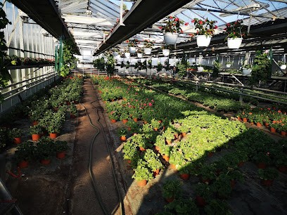 Fleursmasure, Jardinerie à Neuville-en-Ferrain