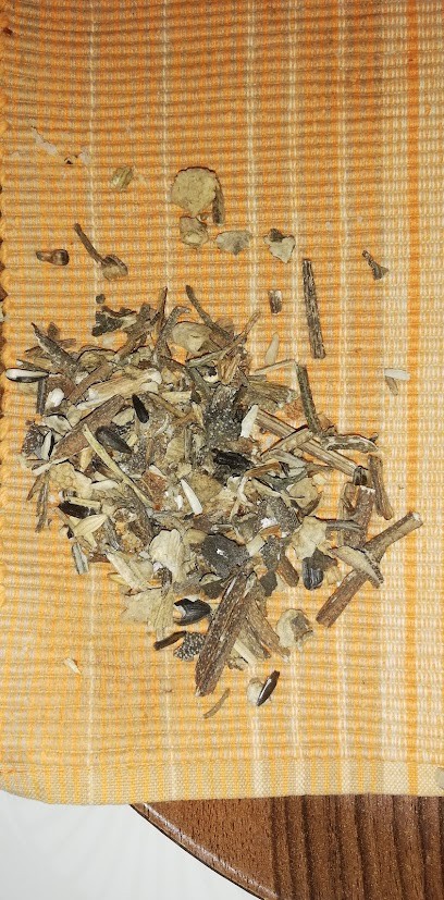 Point Vert SCAER, Jardinerie à Scaër