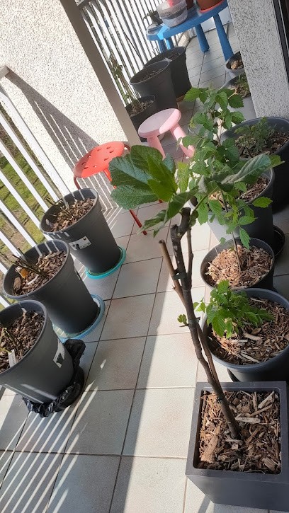 Willemse France, Jardinerie à Neuville-en-Ferrain