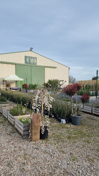 Market Plantes (Le jardin de Zazou), Jardinerie à Vielmur-sur-Agout