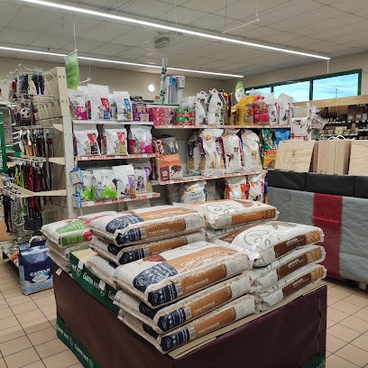 Gamm vert, Jardinerie à Saint-Yan