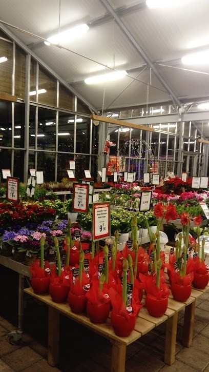 Agri Sud Est Centre, Jardinerie à Rive-de-Gier