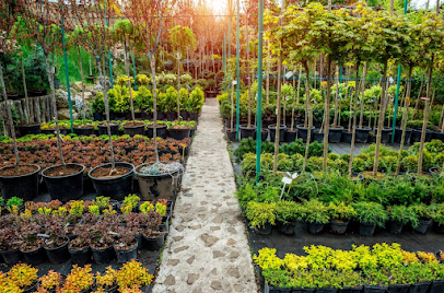 Flâner Jardin, Jardinerie à Caluire-et-Cuire