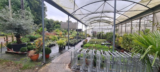 Etablissement Horticole Jean Ballue, Jardinerie à Sainte-Austreberthe