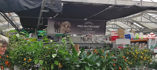 Greenhouses Tressin, Jardinerie à Tressin