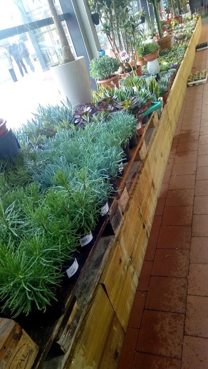 Delbard, Jardinerie à Parthenay