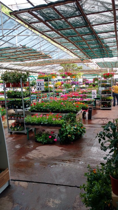 Marcon Garden Flowers, Jardinerie à Sathonay-Village