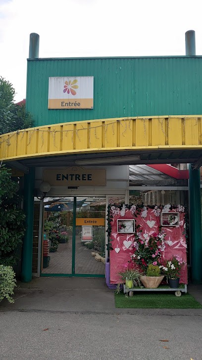 Jardiland, Jardinerie à Saint-Dié-des-Vosges