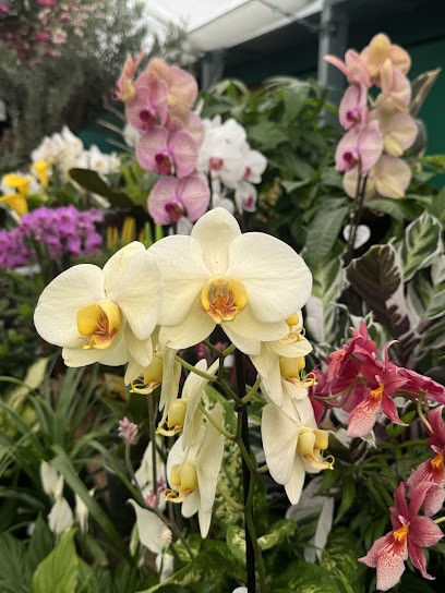 Ramber-Jardins, Jardinerie à Rambervillers