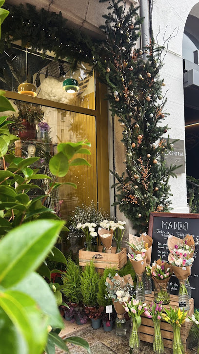 Madaé Jardinerie à Dijon
