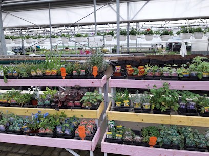 THE Garden Of Olivet, Jardinerie à Olivet