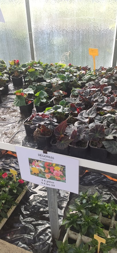 Arriat Alain, Jardinerie à Plaisir