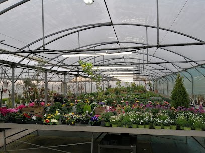 Florasphere, Jardinerie à Confolens